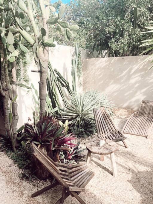 Hotel Boutique Kaa Merida Bagian luar foto