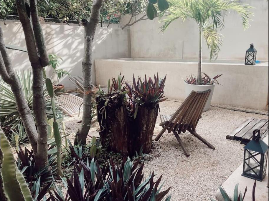 Hotel Boutique Kaa Merida Bagian luar foto