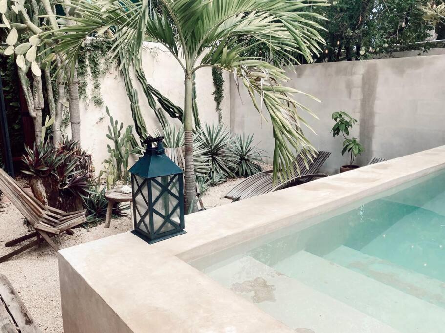 Hotel Boutique Kaa Merida Bagian luar foto