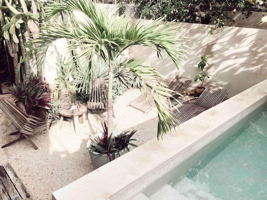 Hotel Boutique Kaa Merida Bagian luar foto