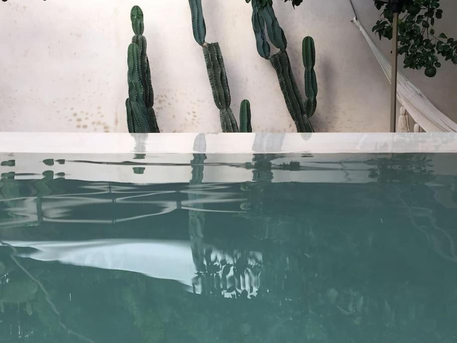 Hotel Boutique Kaa Merida Bagian luar foto